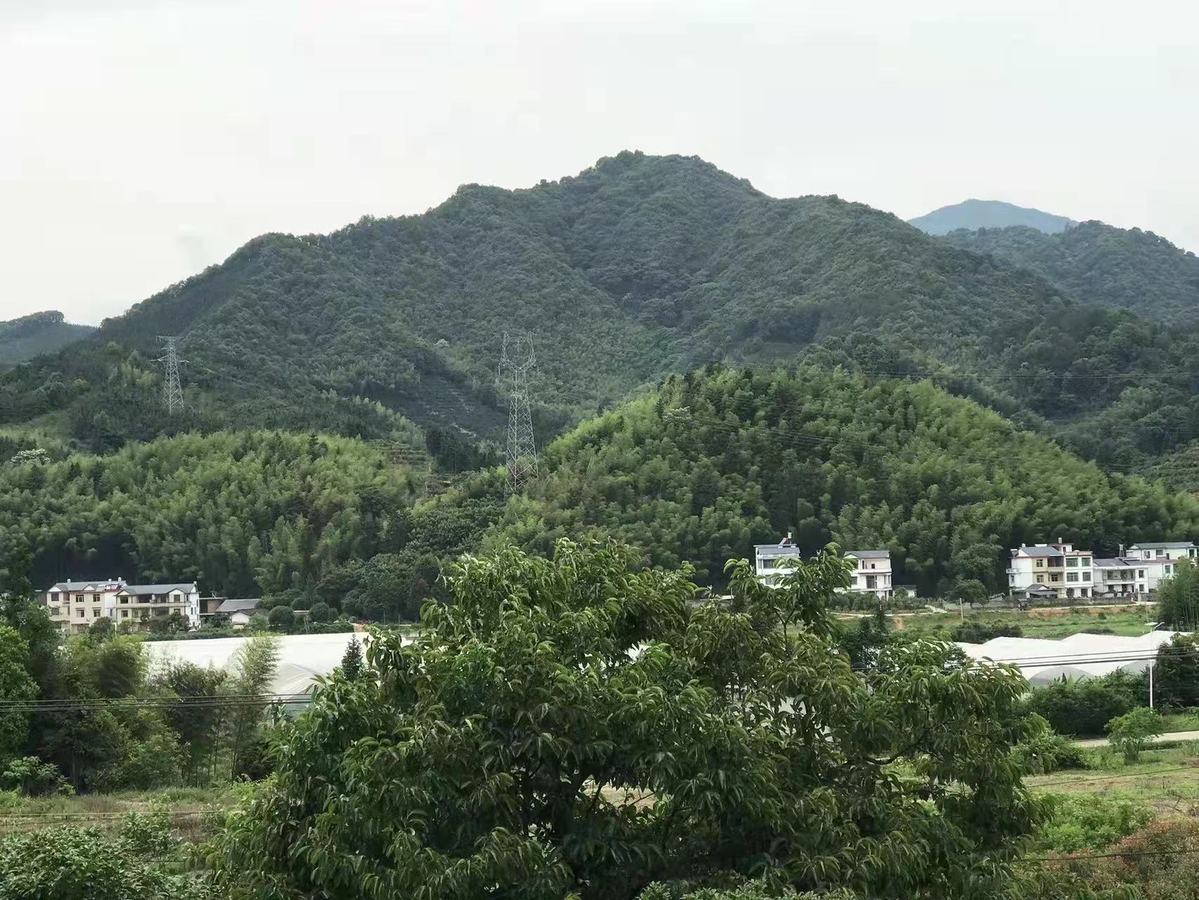 471.jpg